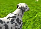 Jogo Dog Simulator 3D no Jogos 360