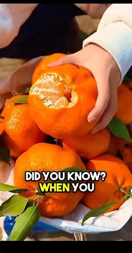 The Hidden Health Power of Orange Pith You’re Throwing Away #DidYouKnow #OrangeFacts #NutritionFacts