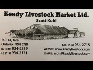 Keady Livestock Market Special Calf Sale Friday, Nov 7th, 2025 @ 9:00 am