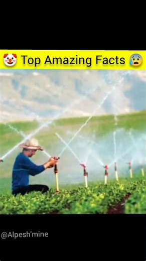 Mind-Blowing Trending Facts of 2025! 🤯