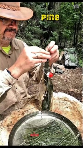 Naturally made sprout fresh, simple, and healthy #facts #shorts #new #bastfeed