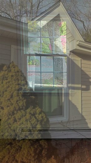 Windows at Advance Window Systems