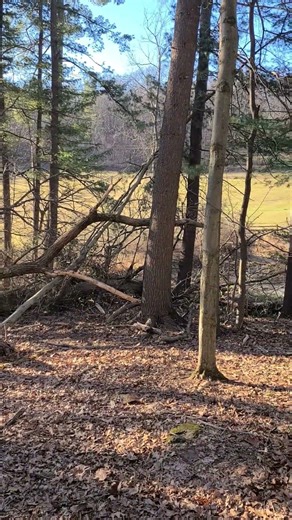 Wind storm destruction 💨