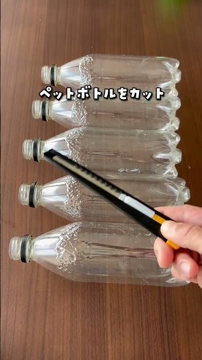 【2歳児超集中？！ポンポンてんとう虫】#室内遊び #子育て #手作りおもちゃ #おうち遊び #親子遊び