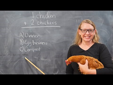 Homesteading: The BEST Homeschool Curricula