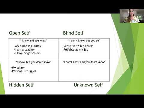 Johari Window Model- Lindsay Walsh's Teaching Demo