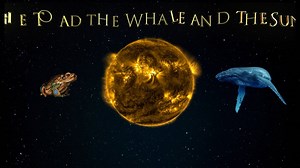 Toad Whale Sun, trailer. 21.7th