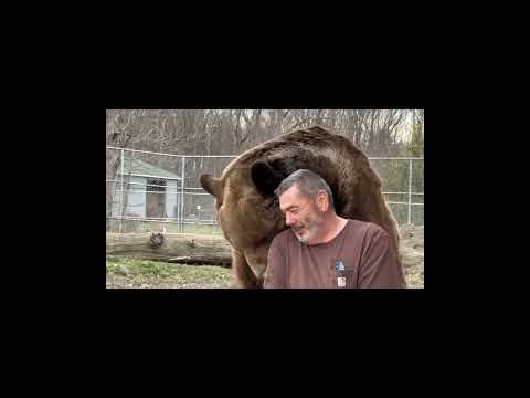 Rest in Peace Leo. Please read description. Our hearts are broken.