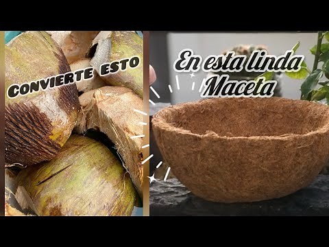 COMO HACER MACETAS DE FIBRA DE COCO/ fácil y económico