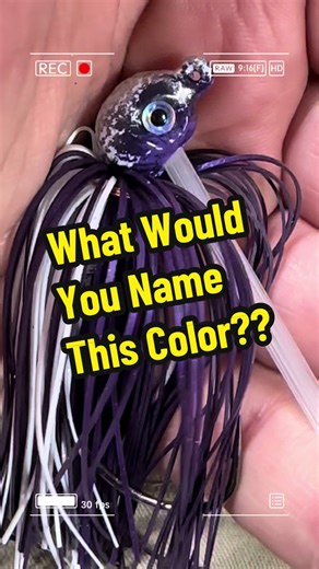 Creative Names for Your Swim Jig Color