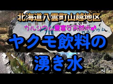 [Calcium-rich spring water] Yakumo Beverage's spring water