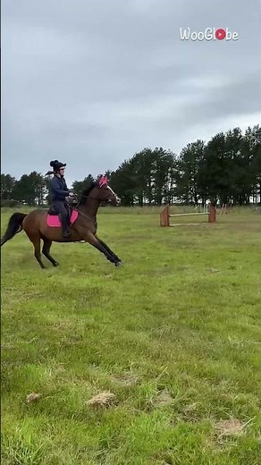 Horse Riding Fail: Rider Falls as Horse Stops Mid-Jump || WooGlobe