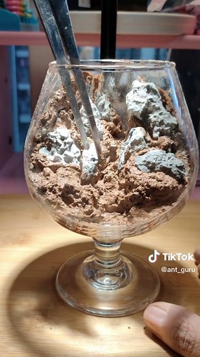 Use tall glasses to make moss microlandscapes.#art #mossgarden #DIY #mosscare #moss #diybonsai #bonsai #indoorgardening