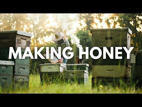 We’re Back in Action — Honey Season Starts NOW!