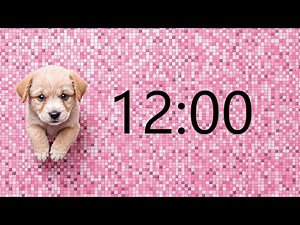 12 Minute Timer (GOOD PUPPY MUSIC + Sound Notification at Zero)