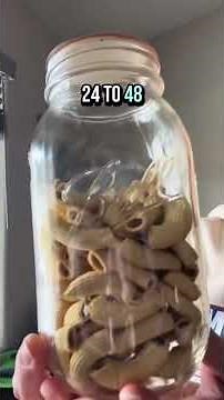 Three ways to store homemade fresh pasta-dried-frozen-freeze dried.