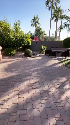 see cyberkitty go!😌🛼