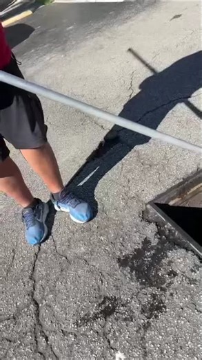 Recatando 19 patitos q se callaron a la alcantarilla. Sl2.