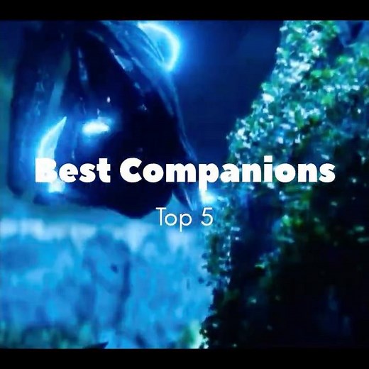 Top 5 Companions 2025 (Warframe) #warframe #tenno #lotus #warframe2025