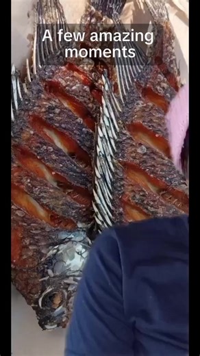 Edner (@edner133)’s videos with original sound - Meddyna🌍