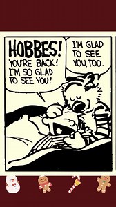 Calvin And Hobbes 🤣🐯👦🏻📚 #Calvin #calvinandhobbes | Daily Comics World