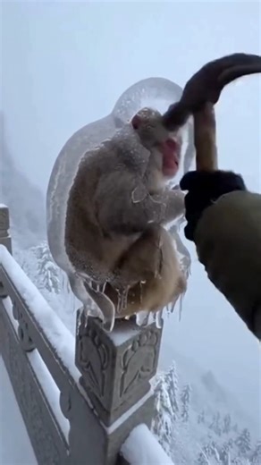 Download👉 https://firstprofit.co Turn Waste Into Cash Using simple Machines. #creative #lifestyle #highlights #fypシ | Stevad Global