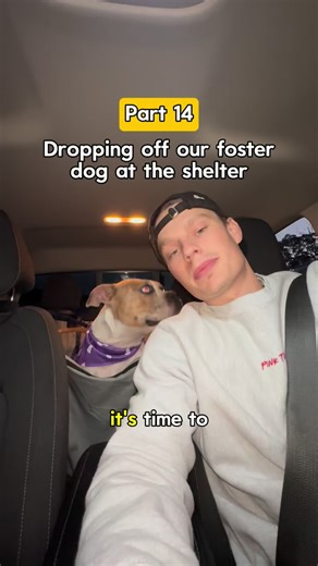 237K views · 9K reactions | This might be the last time I see her and it makes me feel so happy and sad at the same time. Your forever family is coming so soon! Comment “Bandana” to support us and lower adoption fees for shelter dogs. Halloween bandanas live now ❤️ #adoptadog #fosterdog | eric.and.joey | Facebook