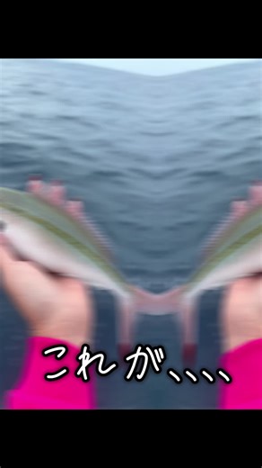 #グルクン #タカサゴ #アカジン #スジアラ #ミーバイ #沖縄 #釣りガール #釣り好き #海遊び #沖縄県 #泳がせ釣り