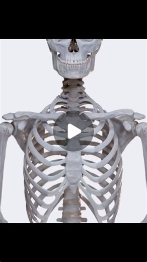 Bradley Blair Osteopath on Instagram: "Biomechanics of the upper extremity: arm abduction This video reviews such a complex movement as arm abduction. Abduction of the arm happens in the frontal plane and can be described as the arm’s movement away from the body’s midline. So, abduction at the shoulder joint causes the free upper limb to move away from the body. It begins with the upper limb positioned parallel to the body and the hand being in an inferior position, continues with the movement o