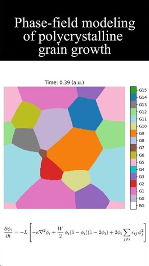 Polycrystalline grain growth (Phase field model)