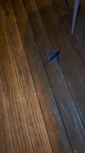 Oh my days🐠💫 Never expected the ending tho😮‍💨👀 What a divine message to receive🙏🏽- We can’t control lifes plan🥹🔁✨ | Craig David