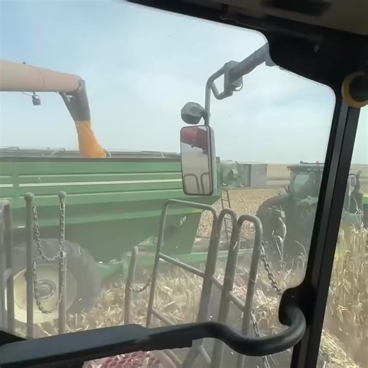 282K views · 9.3K reactions | A Close-up Look At Corn Harvesting  | Laura Farms | Facebook