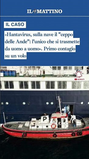 «Hantavirus, sulla nave il "ceppo delle Ande": l'unico che si trasmette da uomo a uomo»