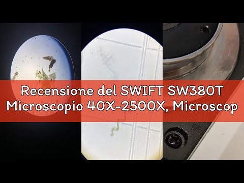 Recensione del SWIFT SW380T Microscopio 40X-2500X, Microscopio da Laboratorio Composto Trinoculare p