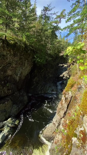 Trust the flow, it knows where it’s going. 📍 Sooke Potholes #waterfalls #sooke #canal #vancouverisland #adventuretime