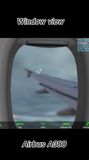 Flight window view || #flightview #airplanewindow