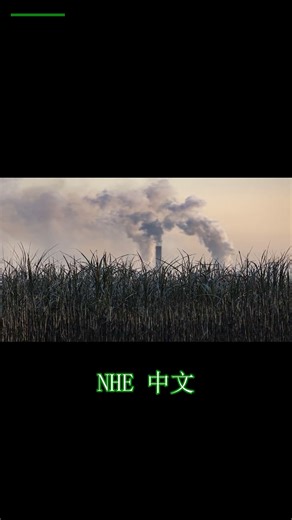 气候专家小组呼吁采取行动，解决食物浪费和火车票问题。