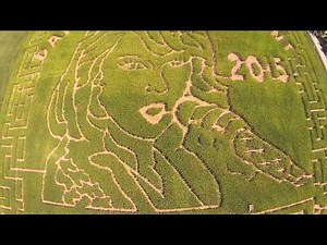 Meet the Farmer Behind the Epic Taylor Swift Corn Maze