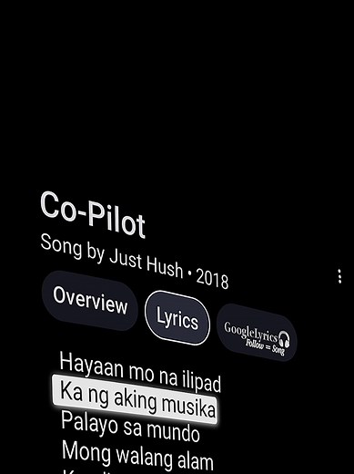 Co-Pilot Song Lyrics by Jush Hush