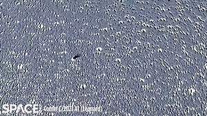 Comet Leonard's tail wiggling in NASA satellite footage