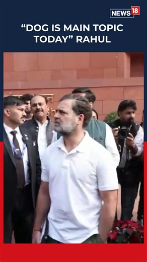 #WATCH | Reacting to Congress MP Renuka Chowdhury bringing a dog to Parliament, LoP Rahul Gandhi said the controversy shows what the nation is being made to focus on. “Dog is the main topic today, I believe. What did the poor dog do? Maybe pets are not allowed… These are the things India is discussing these days,” he remarked. #congress #parliamentwintersession #renukachaudhary #loksabah #straydogs #supremecourt | News18