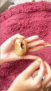 Rear Fossils ll Gemstone Rocks ll किमती पत्थर ll