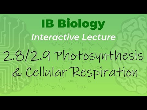 [OLD2016] IB Biology 2.8 & 2.9 - Photosynthesis & Cellular Respiration - Interactive Lecture