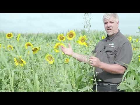 Warm Season Soil Builder