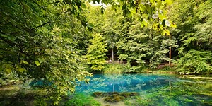 17 Nature TikTok Videos That'll Make You Want to Get Outside ASAP