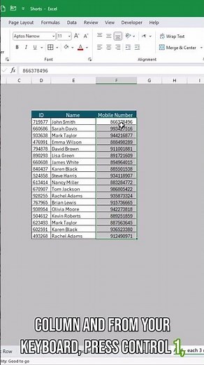Add Separators in Excel Custom Formatting Trick!