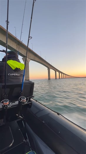 Zodiac Nautic on Reels