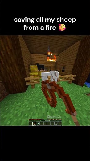 Minecraft sheep