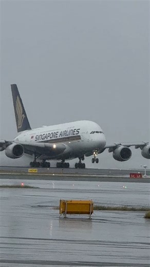 630K views · 16K reactions | Singapore Airlines Airbus A380-800 takeoff. #plane #planes #planespotting #planespotter #planelover #planevideo #aviation #aviationlover #aviationdaily #aviationvideo #airport #airportlife #airportdaily #sydney #australia #australian #aeroplane #airplane #aircraft #airlines #airliner #airways #airlift #runway #pilot #pilots #pilotlife #crew #crewlife | Tarmacc | Facebook