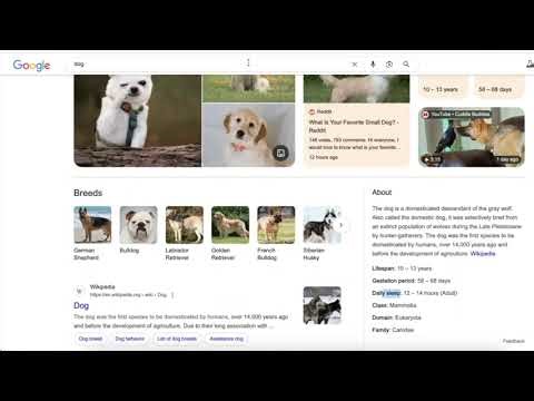 What is Knowledge Domain